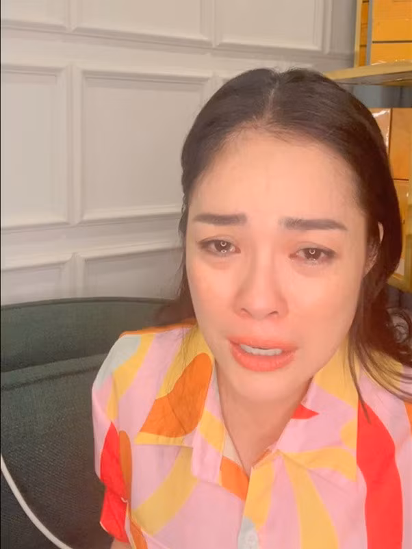 Duong Cam Lynh khoc nuc no, bi huy 2 hop dong vi on ao