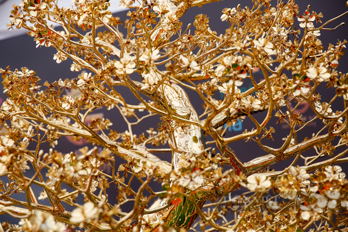 Nhiều người quan niệm, màu vàng của cây mai tạo nên vẻ sang trọng, quý phái và "hút" tài lộc.