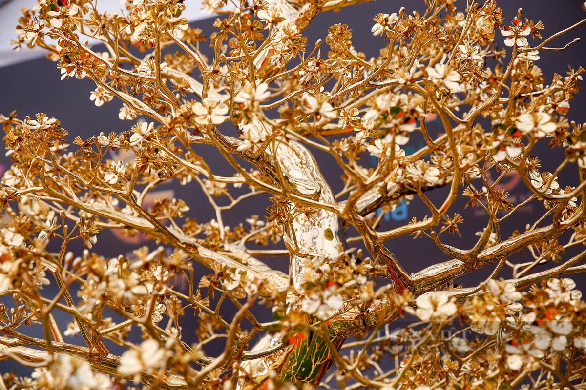 Nhiều người quan niệm, màu vàng của cây mai tạo nên vẻ sang trọng, quý phái và "hút" tài lộc.