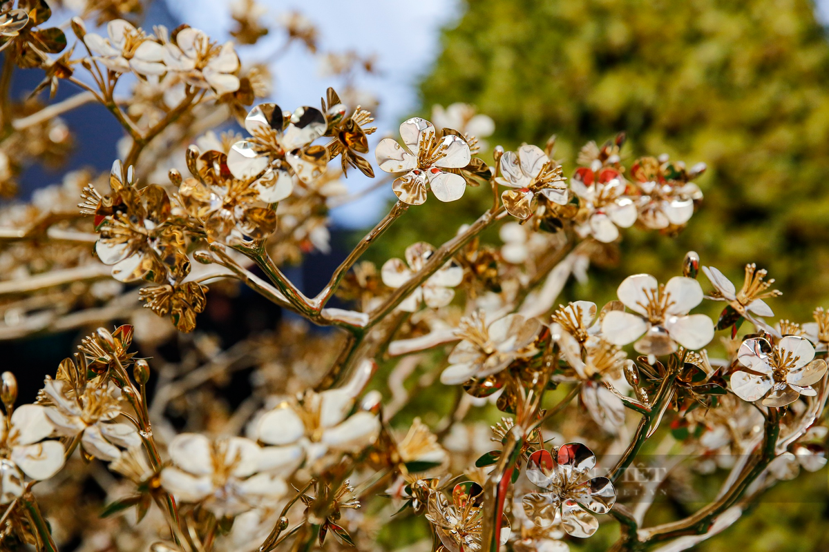 Mỗi bông hoa gồm 5 cánh đại diện cho ngũ phúc: Hạnh phúc, may mắn, trường thọ, thành công và hòa bình.