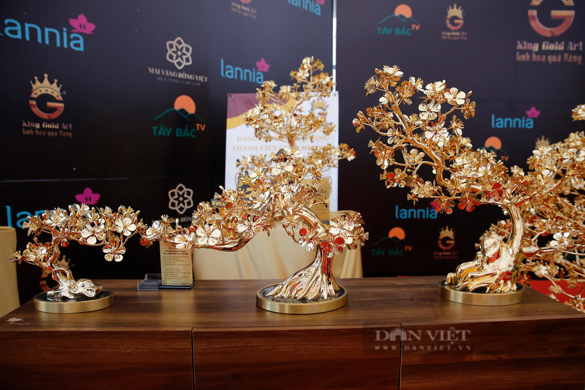 Ngoài cây mai mạ vàng lớn nhất Việt Nam, gian hàng còn trưng bày nhiều cây mai mạ vàng đa dạng hình dáng, kích thước với giá tiền từ 2-30 triệu đồng, phục vụ nhu cầu người dân dịp Tết Nguyên đán 2023.