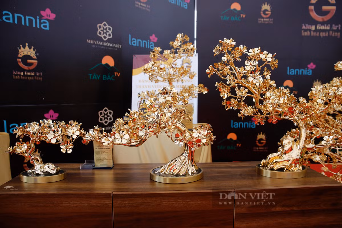 Ngoài cây mai mạ vàng lớn nhất Việt Nam, gian hàng còn trưng bày nhiều cây mai mạ vàng đa dạng hình dáng, kích thước với giá tiền từ 2-30 triệu đồng, phục vụ nhu cầu người dân dịp Tết Nguyên đán 2023.