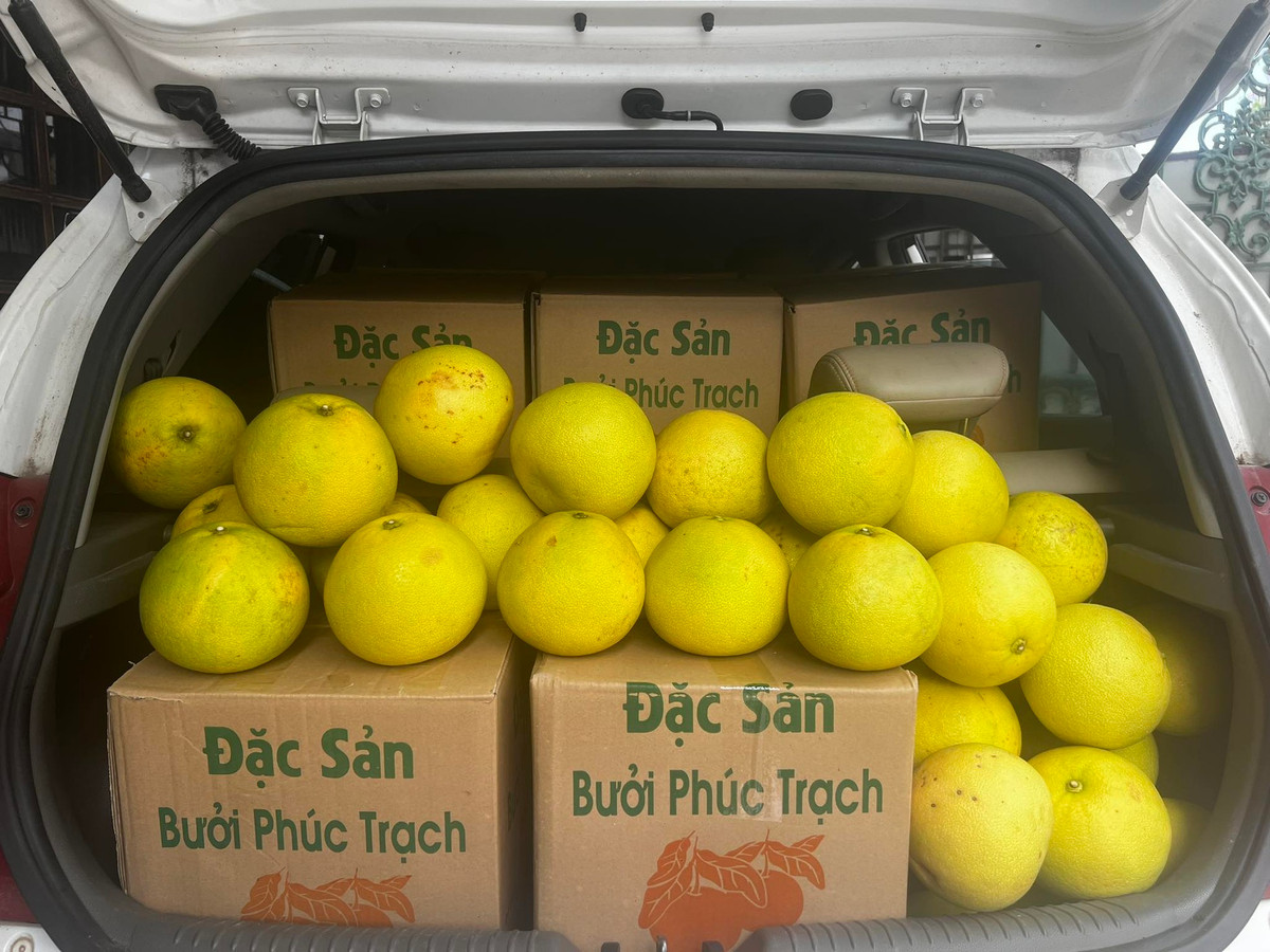Những năm đầu thế kỷ 20, bưởi Phúc Trạch được nhiều người biết đến là loại quả ngon, hiếm. Vượt qua hàng trăm loại trái cây, thứ quả này đã được xướng tên và trao tặng Mề đay (huy chương) trong cuộc đấu xảo quả ngon toàn Đông Dương.
