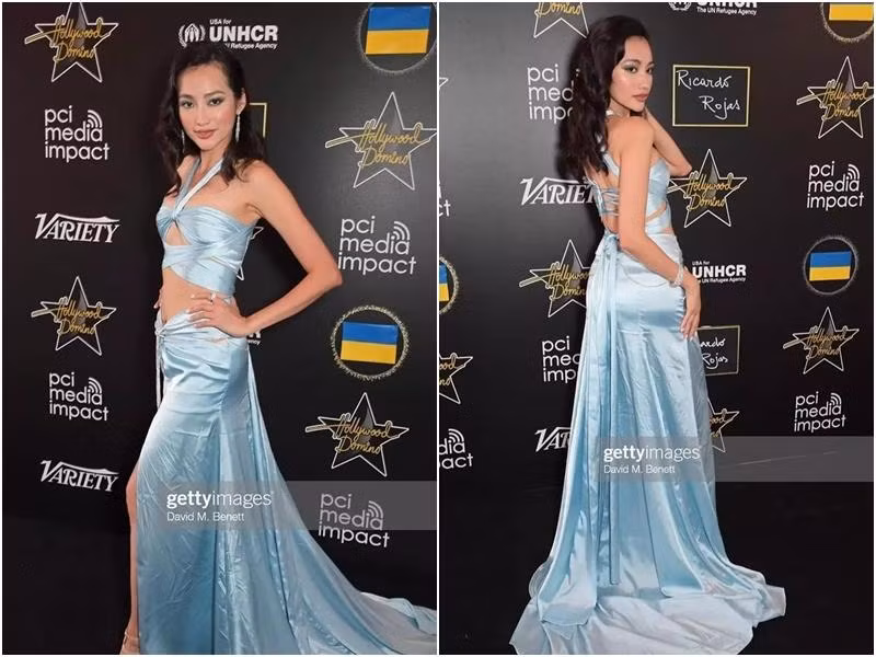 Việc chọn chất liệu trang phục kém tinh tế từng khiến rất nhiều mỹ nhân Việt rơi vào tình trạng luộm thuộm vì trông như bới vội quần áo ở đáy tủ. Trúc Diễm dự một sự kiện thuộc khuôn khổ Liên hoan phim Cannes trong bộ đầm nát bét này là 1 ví dụ.