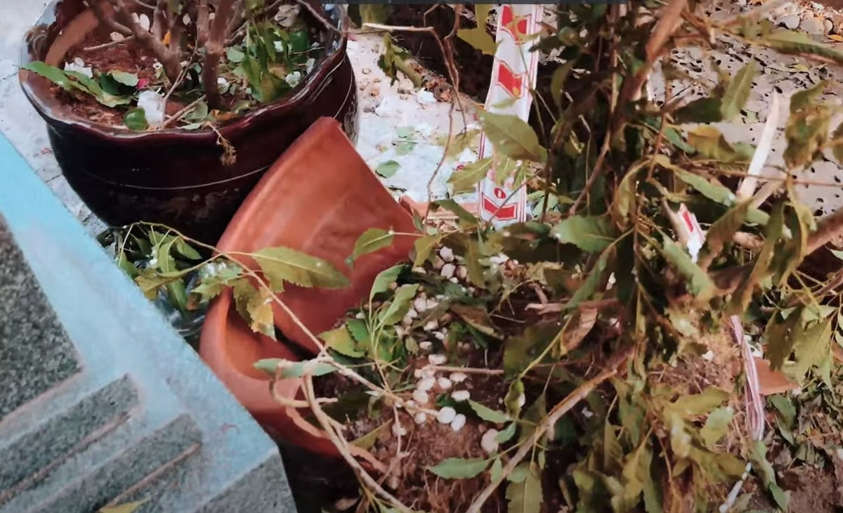 Thanh Dien dau long vi mo Thanh Kim Hue bi dam dong giam dap-Hinh-2