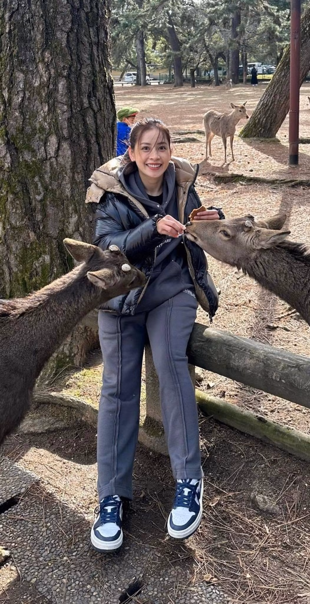 Sao Việt Chi Pu rạng rỡ trong chuyến du lịch tại Nhật Bản. Cô tận hưởng những ngày nghỉ Tết cuối cùng trước khi quay lại làm việc.