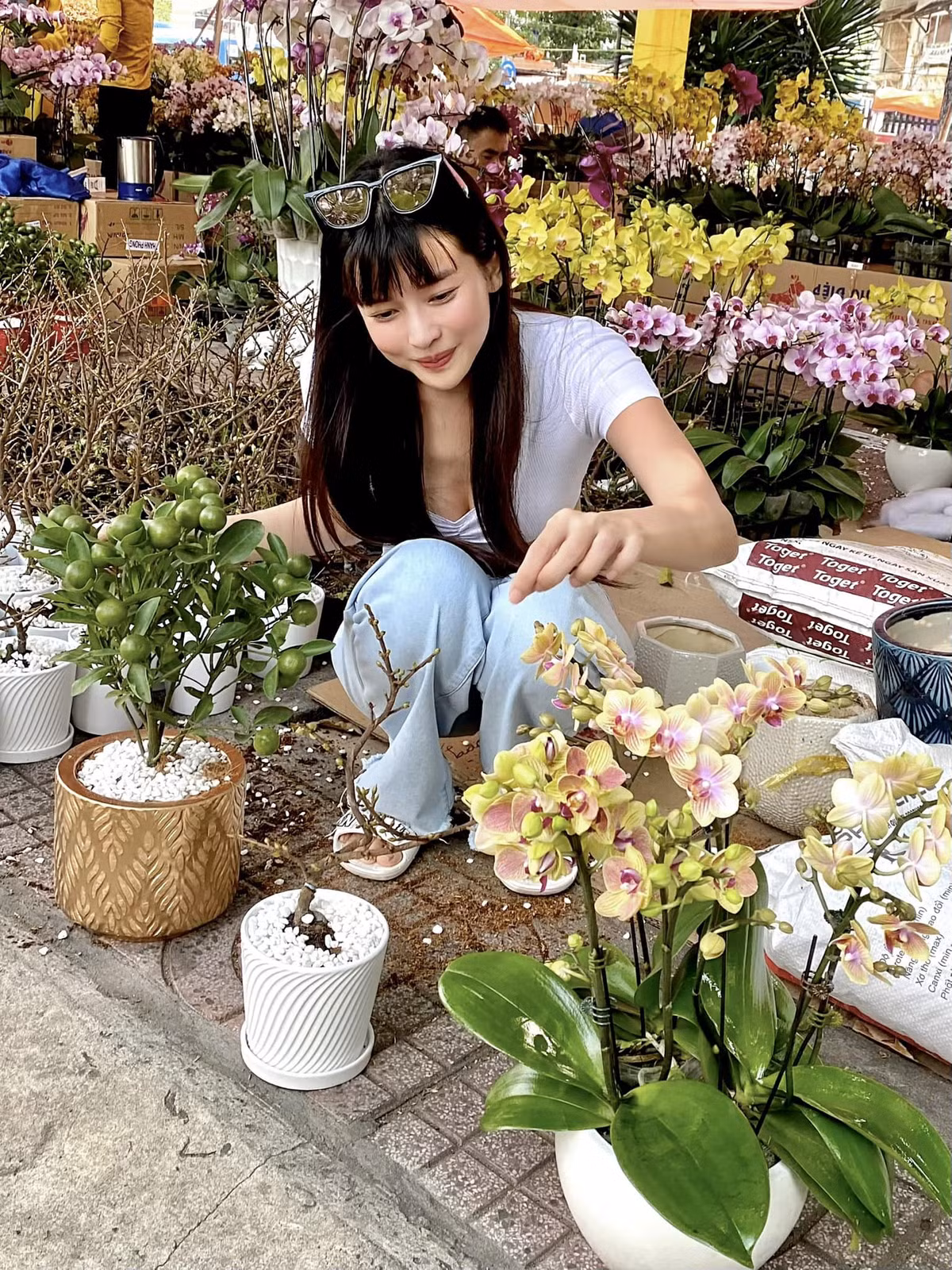 Cao Thái Hà mua hoa trang trí Tết.