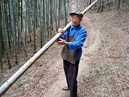 Cụ ông đẹp trai trong trang phục thường ngày. (Nguồn: sina)