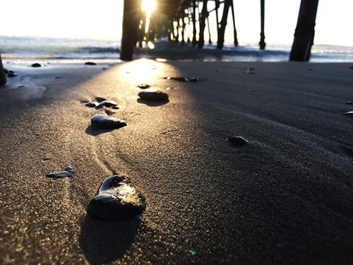 Dự kiến, những món phụ kiện này sẽ sớm được mở bán trong quý II/2016 với mức giá từ 199 USD cho đến 299 USD tùy công năng của từng sản phẩm.