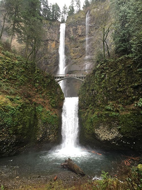 Mỗi mẫu ống kính gắn thêm cho iPhone mang thương hiệu ExoLens đều có điểm chung là trang bị thấu kính Zeiss T* vốn được phủ lớp chống chói đặc biệt và thiết kế tối ưu cho nhiệm vụ truyền dẫn ánh sáng. (Hình ảnh được chụp thử ngay bằng phụ kiện ExoLens dành cho iPhone).