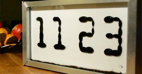  12. Đồng hồ Ferrolic Ferrolic - mẫu đồng hồ với mặt số được hình thành từ những giọt nước biết đi. Hiệu ứng kỳ diệu này có được là nhờ dung dịch ferrofluidhay còn gọi là nước từ màu đen có khả năng phản ứng với lực từ. Để dung dịch nước từ bên trong có hình dạng sắc nét, các nhà thiết kế phải gắn nam châm bên trong tấm khung nhôm của đồng hồ. Những giọt mực màu đen sẽ nối đuôi nhau xếp thành hình các con số để hiện thị thời gian.