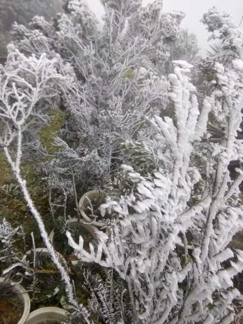 Băng tuyết Mẫu Sơn. Ảnh: Facebook Bọ Nẹt.