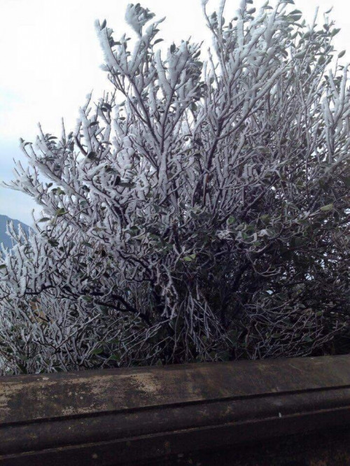 Tuyết rơi ở Mẫu Sơn. Ảnh: Facebook Bọ Nẹt