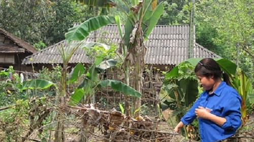 Căn nhà của gia đình bà Nỏi và vợ chồng chị Duyên. Căn nhà của gia đình bà Nỏi và vợ chồng chị Duyên.