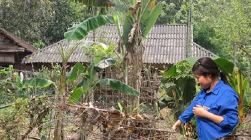 Căn nhà của gia đình bà Nỏi và vợ chồng chị Duyên.