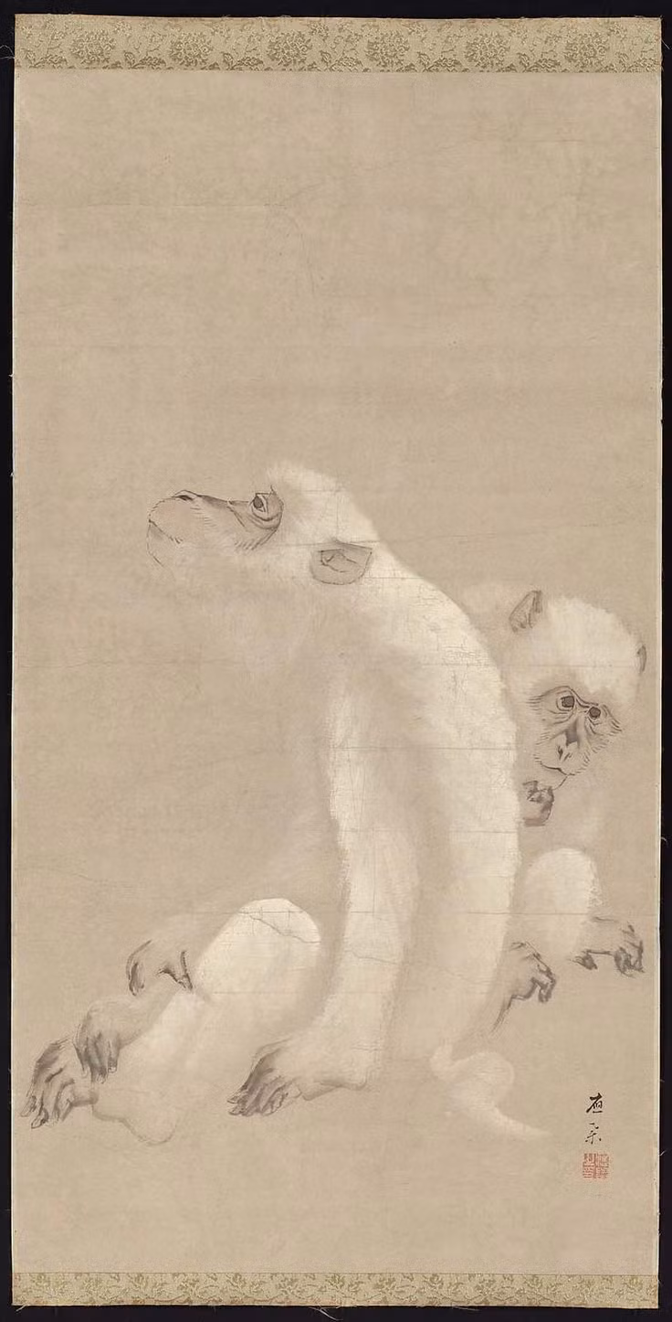 "Khỉ trắng", tranh của họa sĩ Maruyama Okyo (1733 – 1795).