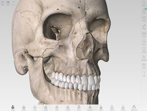  3. Complete Anatomy (miễn phí). Công cụ tạo hình 3 chiều cho ngành y tế Complete Anatomy sẽ rất cần thiết cho giảng viên, sinh viên và cả các y bác sĩ. Tiện ích này hiện đã hỗ trợ nền tảng chia sẻ dựa trên điện toán đám mây, giúp người dùng có thể tạo và gửi cho người dùng khác dễ dàng hơn. 