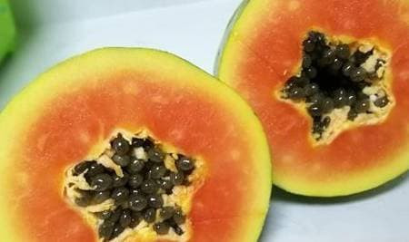 Du du duoc menh danh la “qua tram dieu loi”