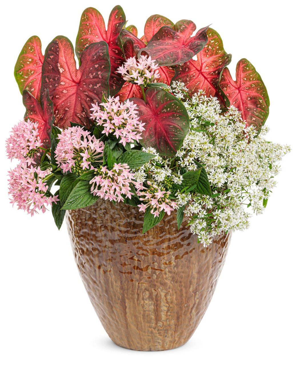 Trong phong thủy, loài hoa này đa dạng nhiều màu sắc khác nhau, mang đến nhiều lộc tài may mắn, hạnh phúc, niềm vui cho gia chủ với mong ước gia đình hòa thuận, ấm êm, giàu có.