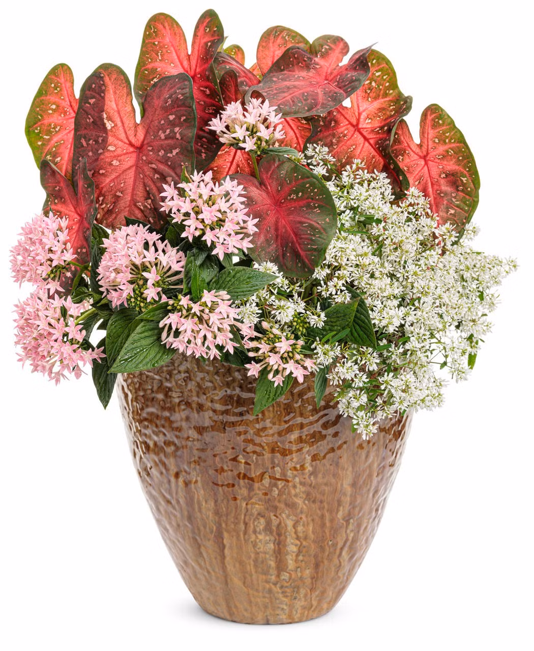 Trong phong thủy, loài hoa này đa dạng nhiều màu sắc khác nhau, mang đến nhiều lộc tài may mắn, hạnh phúc, niềm vui cho gia chủ với mong ước gia đình hòa thuận, ấm êm, giàu có.