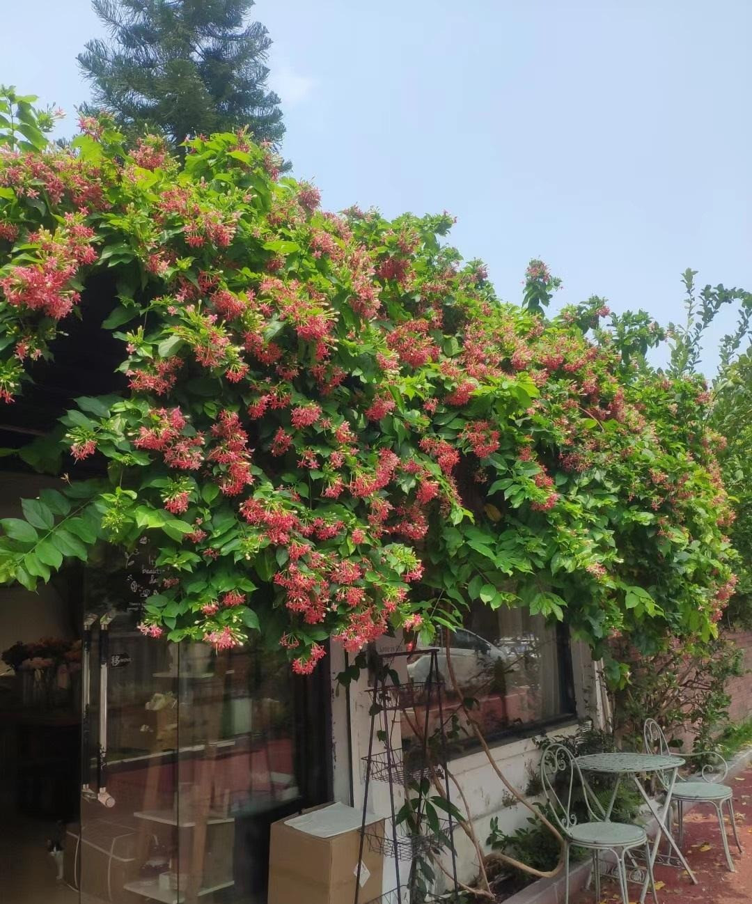  Cũng giống như con người chúng ta, dù cuộc sống có khó khăn đến đâu, chúng ta cũng nên giữ thái độ tích cực, trân trọng cơ thể và theo đuổi sức khỏe. Ảnh minh họa Toutiao