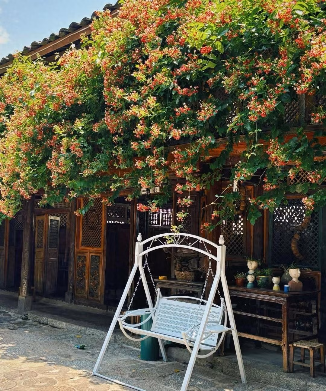 Nếu bón quá nhiều phân có chứa nitơ, lá sẽ bị héo và không thể nở hoa. Ảnh minh họa Toutiao