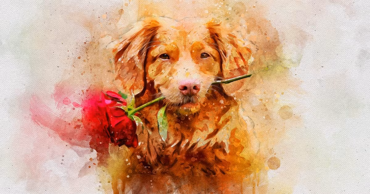  Về mặt tài chính, tuổi Tuất sẽ có những bước tiến mạnh mẽ. Sự giàu có không chỉ đến từ thành công trong công việc mà còn từ việc đón nhận những tin vui từ gia đình và người thân, như chức vụ mới hoặc tin vui từ con cái.