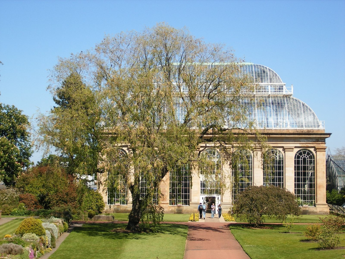 Ngoài ra, những cành cây du mới có khả năng nảy mầm mạnh và tốc độ sinh trưởng nhanh có thể được tạo hình tùy ý theo sở thích của mình, khiến người ta có cảm giác thành tựu.