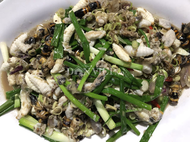 Doc nhat Quang Ngai: Nuoi bo suu tap loai 'tu than' la liet vuon nha-Hinh-11