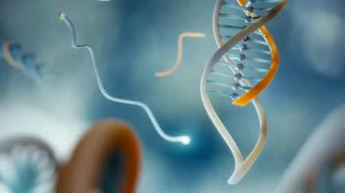 Nhiều người cho rằng ung thư là căn bệnh do di truyền. Tuy nhiên thực tế không hẳn là như vậy, không phải cứ có ai trong gia đình bạn bị ung thư có nghĩa là bạn cũng mắc bệnh này. Hãy ăn uống điều độ và sống vui khỏe, bạn sẽ xóa tan những nỗi lo ung thư.