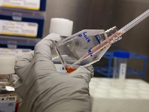 Nhiều người nhầm lẫn rằng việc lấy sinh thiết sẽ khiến cho tế bào ung thư lan rộng hơn. Nhưng đây là quan niệm sai lầm, lấy sinh thiết không hề ảnh hưởng tới tế bào ung thư.