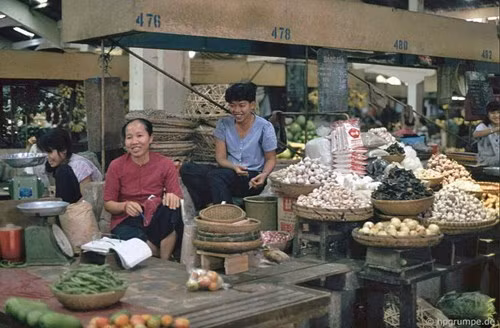 Các loại rau củ.