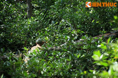 Đây là địa điểm thuận lợi cho việc dấu ém quân, tổ chức chống càn, đánh và tiêu diệt sinh lực địch.