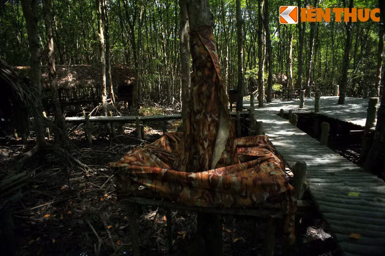 Một cách thức lấy nước ngọt khác là căng vải dù dưới những thân cây để hứng nước mưa.