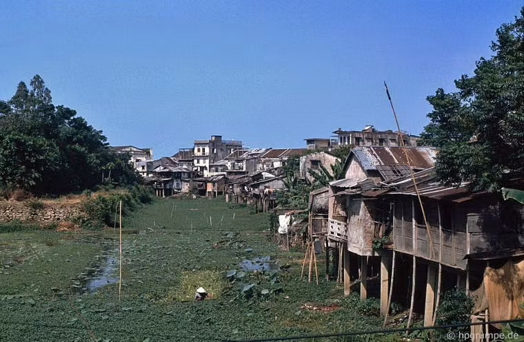 Những ngôi nhà chen chúc ven một nhánh sông.