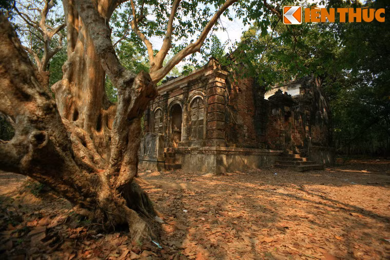 Sau khu mộ là khu nhà thờ, với hai cây đại cổ thụ ở hai bên.