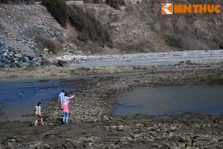 Nếu bước đi không cẩn thận, rất dễ bị trượt ngã hoặc đứt chân vì hà cứa.