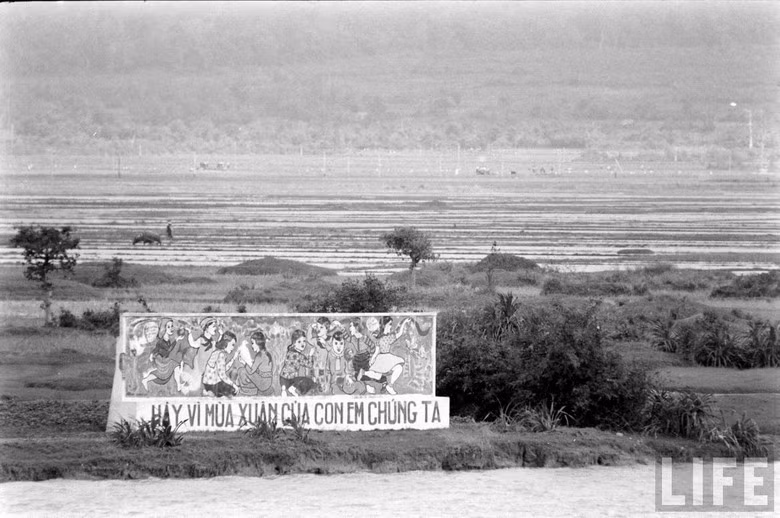 ...Hướng đến tương lai của toàn thể dân tộc.