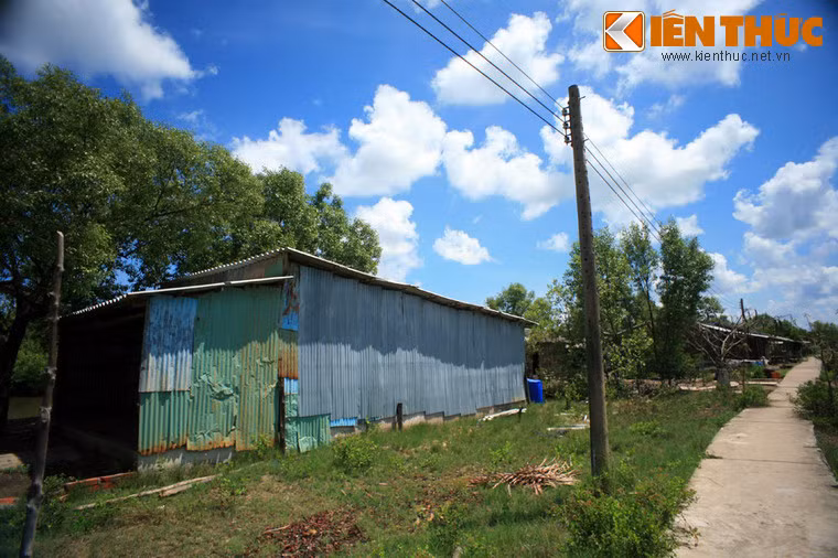 Nằm ở phía cuối của con đường nhỏ dài khoảng 10km chạy vào ấp cũng có một gian nhà điển hình như vậy.