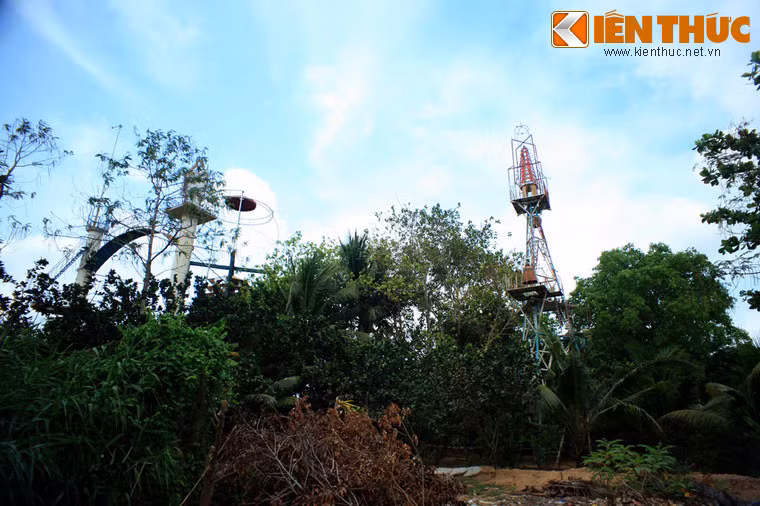 Ông đạo Dừa Nguyễn Thành Nam từng bị bắt giam năm 1958 do phản đối chính quyền Ngô Đình Diệm. Ông cũng đã đứng ra tranh cử tổng thống ở miền Nam Việt Nam năm 1968. Quan điểm chính trị của ông đạo Dừa được thể hiện qua việc ông nuôi chuột và mèo sống chung với nhau trong một lồng. Qua hình ảnh này ông muốn chứng minh là hai lực lượng đối nghịch vẫn có thể "chung sống hòa bình" và hi vọng Việt Nam sẽ không còn chiến tranh.