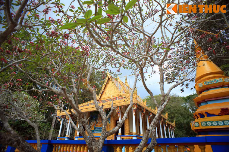 Chùa Dơi còn gọi là chùa Mã Tộc hay chùa Mahatup ở TP Sóc Trăng, tỉnh Sóc Trăng là một trong những ngôi chùa cổ tiêu biểu cho Phật giáo Nam tông Khmer Nam Bộ. Ngôi chùa này nổi tiếng với kiến trúc đẹp và sự cư trú của hàng nghìn con dơi lớn trong khu vườn chùa.