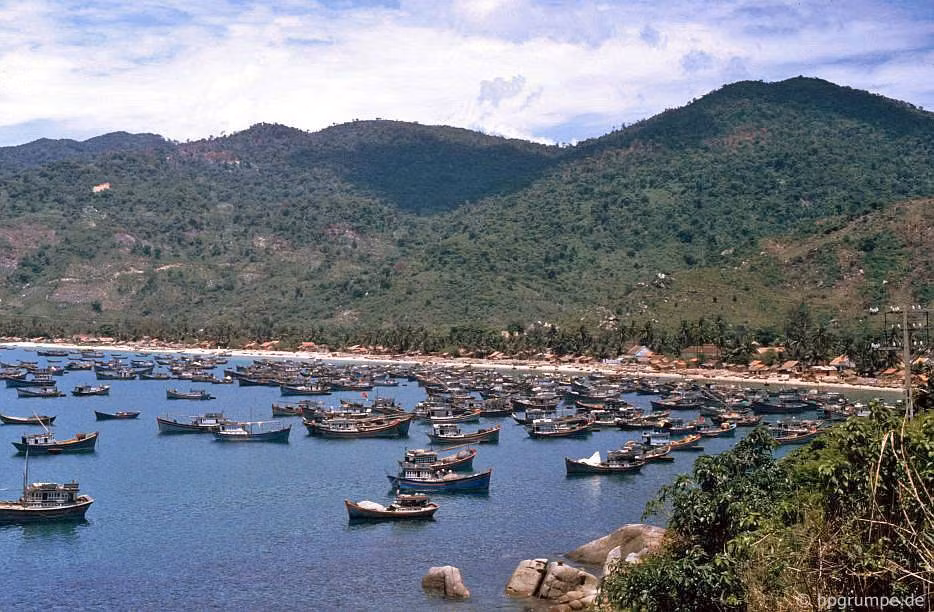 Những chiếc thuyền cá nằm la liệt trên vùng biển Đại Lãnh.