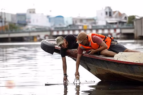 Cụ thể, để phục vụ cảnh quay, nhóm làm phim của đạo diễn Vũ Ngọc Đãng đã sử dụng 4 chú mèo. Tất cả đều được thả xuống nước, bị coi như những "đạo cụ", "diễn viên" bất đắc dĩ.