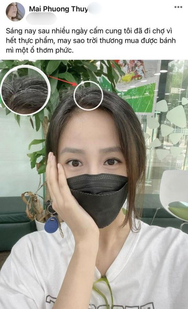 Ha Ho, Mai Phuong Thuy toc bac som, bi quyet cai thien la gi?