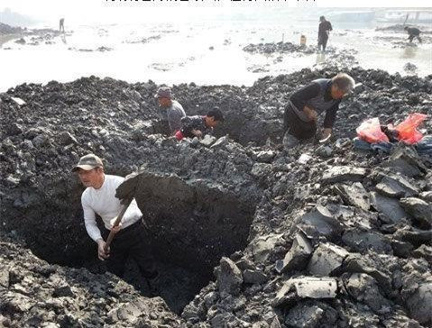 Đào huyệt thấy bình lá sen, đội khảo cổ tá hỏa phát hiện sự thật sốc Dao huyet thay binh la sen, doi khao co ta hoa phat hien su that soc