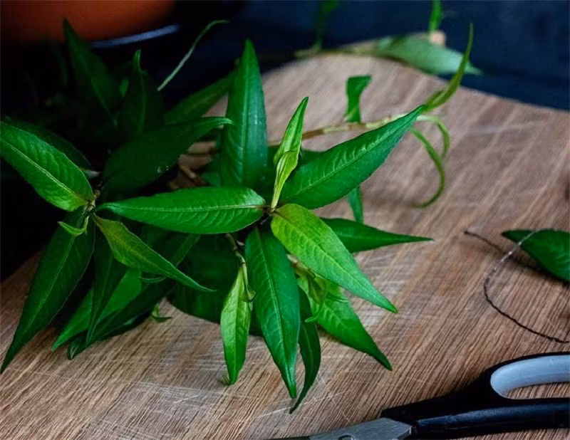 Rau ram o Viet Nam 2.000 dong/mo, sang nuoc ngoai 250.000 dong/mo-Hinh-7