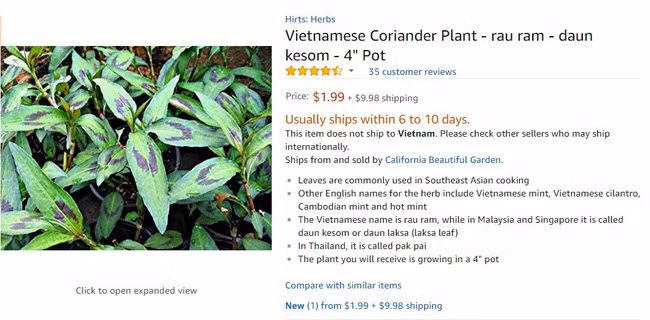 Rau ram o Viet Nam 2.000 dong/mo, sang nuoc ngoai 250.000 dong/mo-Hinh-6