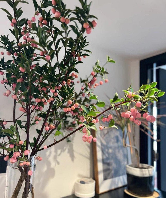 Trao luu cam cac canh qua mua thu cuc chill-Hinh-3