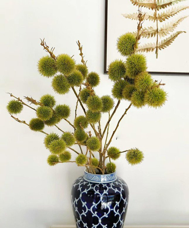 Trao luu cam cac canh qua mua thu cuc chill