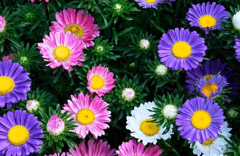 Cuoi thang 9, 3 con giap Than Tai goi ten, tien bac du da